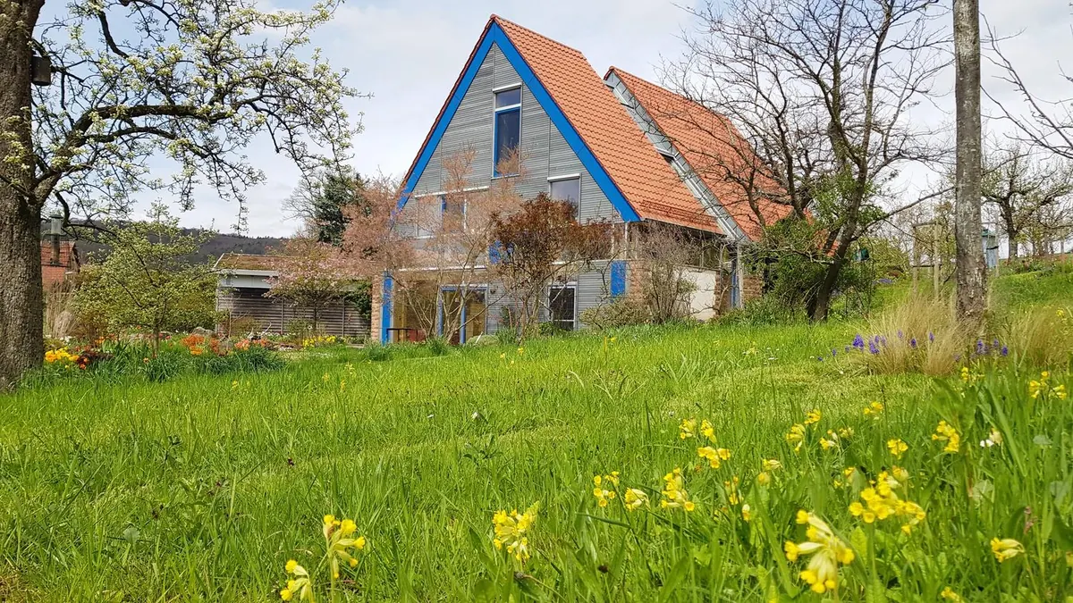 Haus V im Odenwald: Giebel über einer Blumenwiese